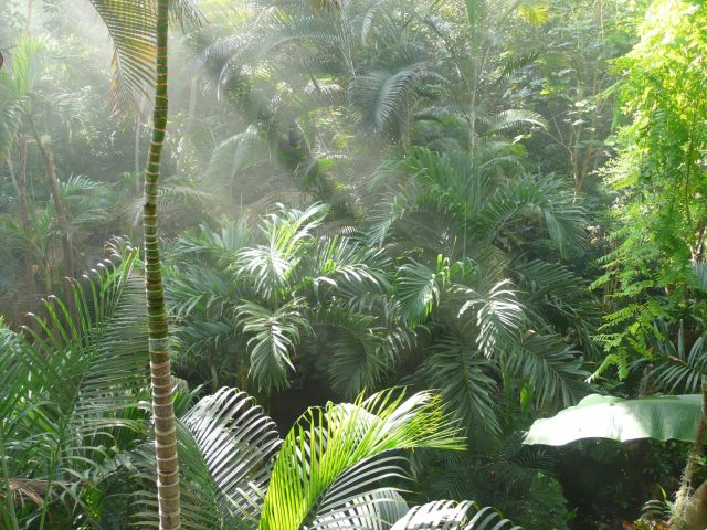 Biosphäre Potsdam