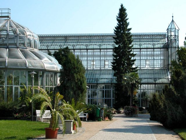 Botanischer Garten und Botanisches Museum Berlin